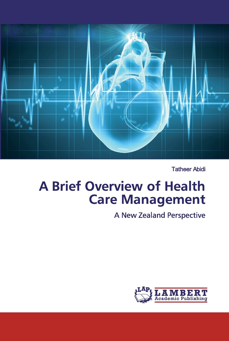 【预售按需印刷】A Brief Overview of Health Care Management