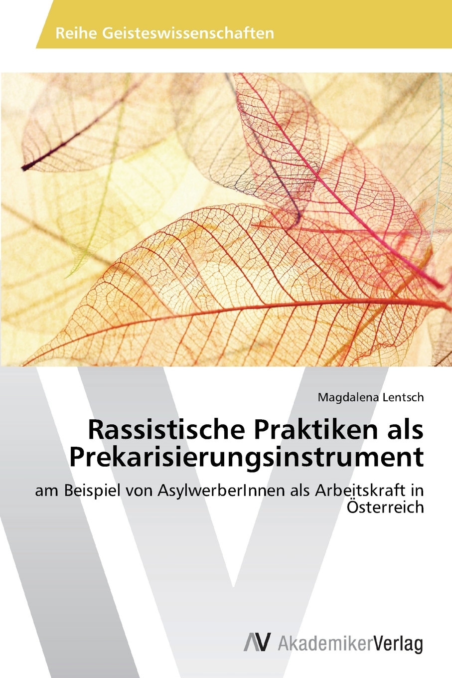 预售按需印刷Rassistische Praktiken als Prekarisierungsinstrument德语ger