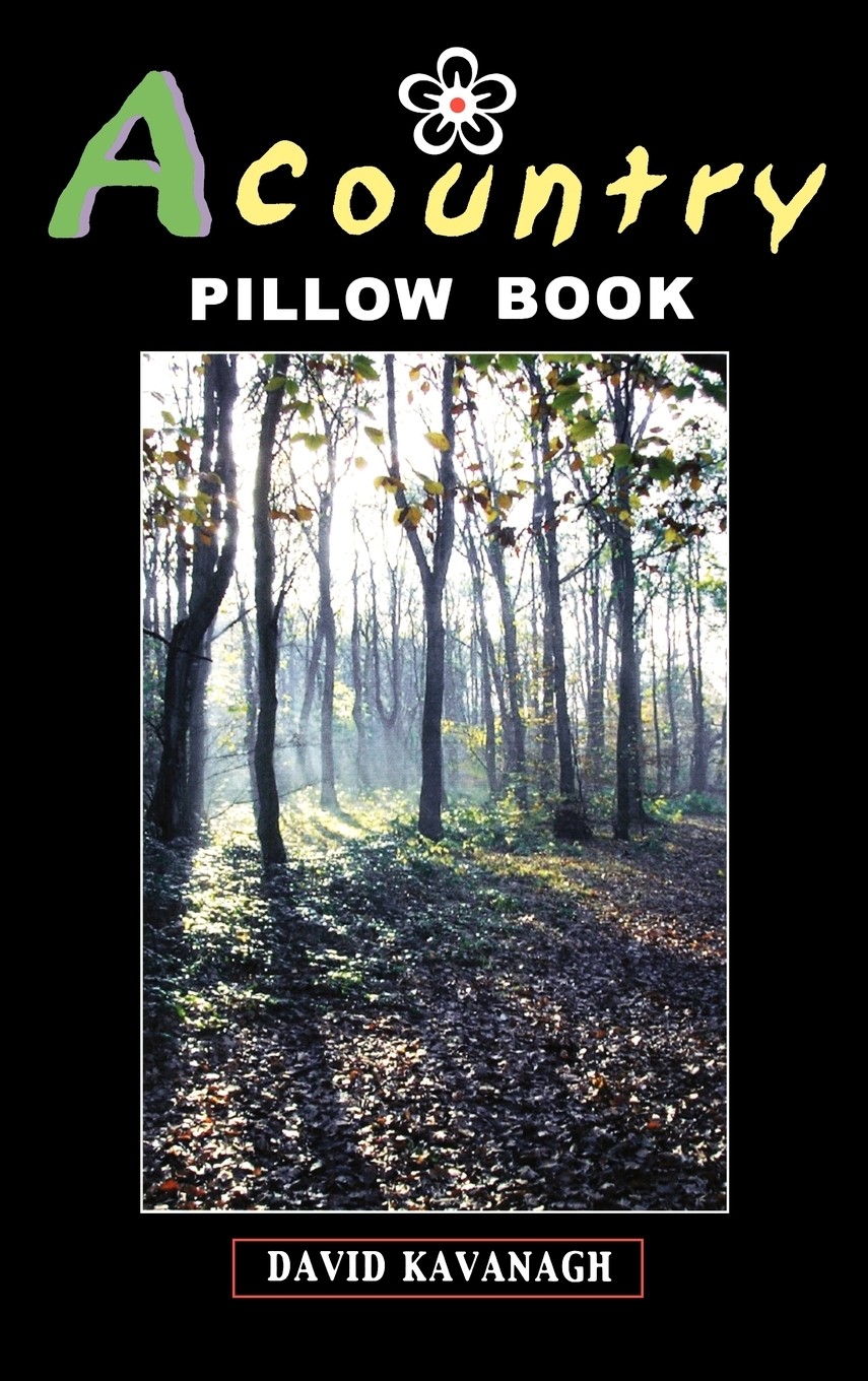 【预售 按需印刷】a country pillow book