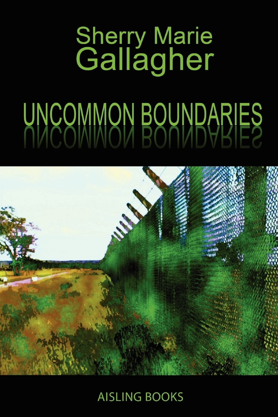 【预售 按需印刷】uncommon boundaries
