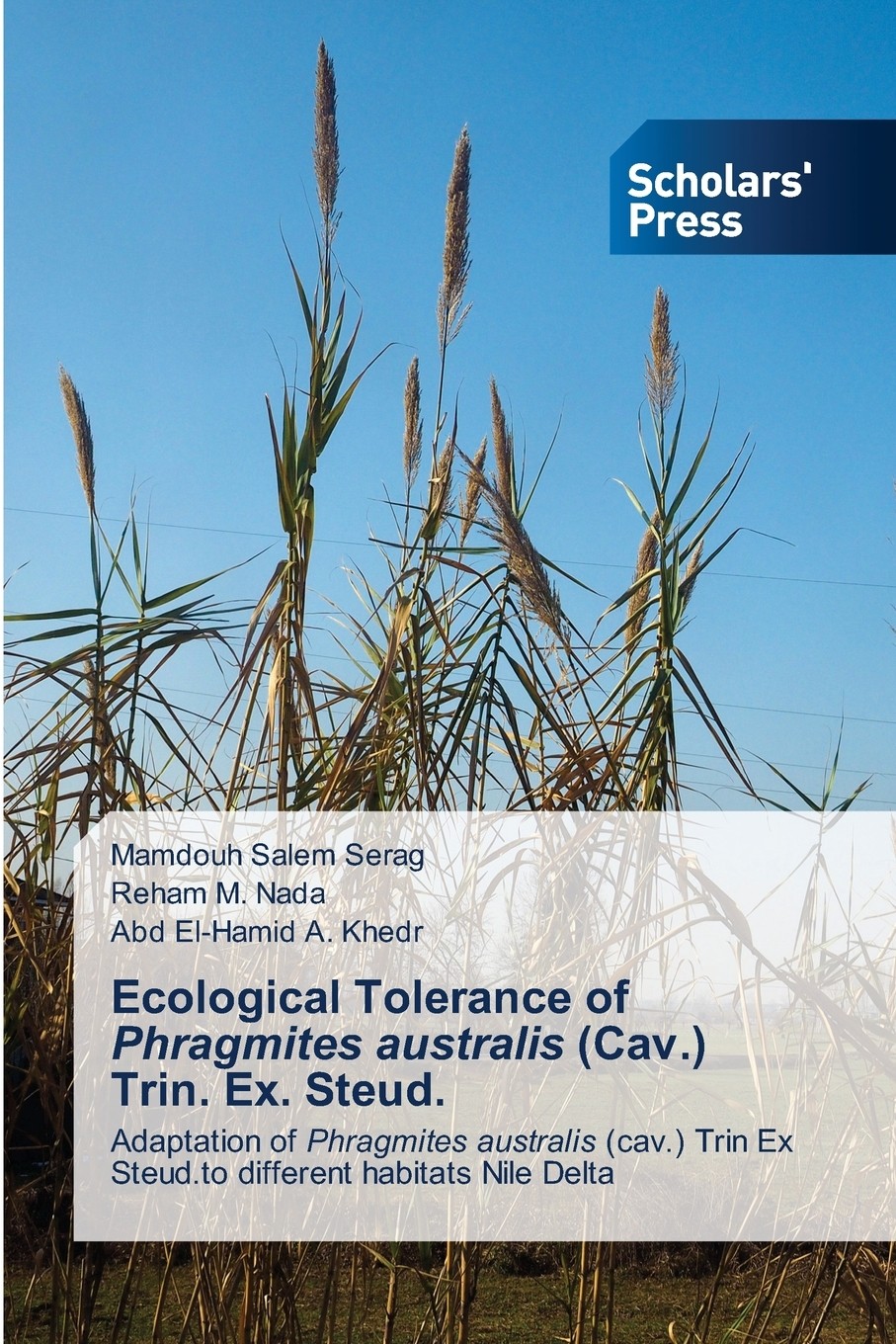 【预售 按需印刷】ecological tolerance of phragmites australis