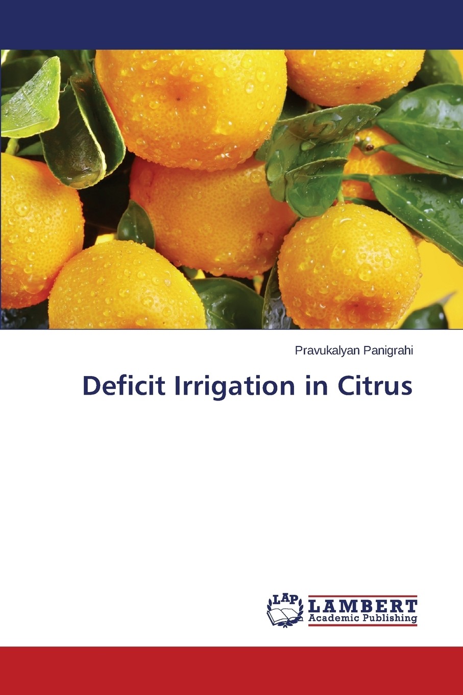 【预售按需印刷】deficit irrigation in citrus
