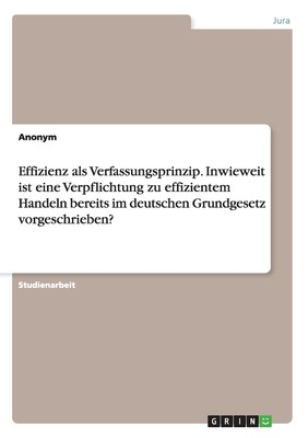 预售 按需印刷Effizienz als Verfassungsprinzip. Inwieweit ist eine Verpflichtung zu effizientem Handeln bereits im德语ger