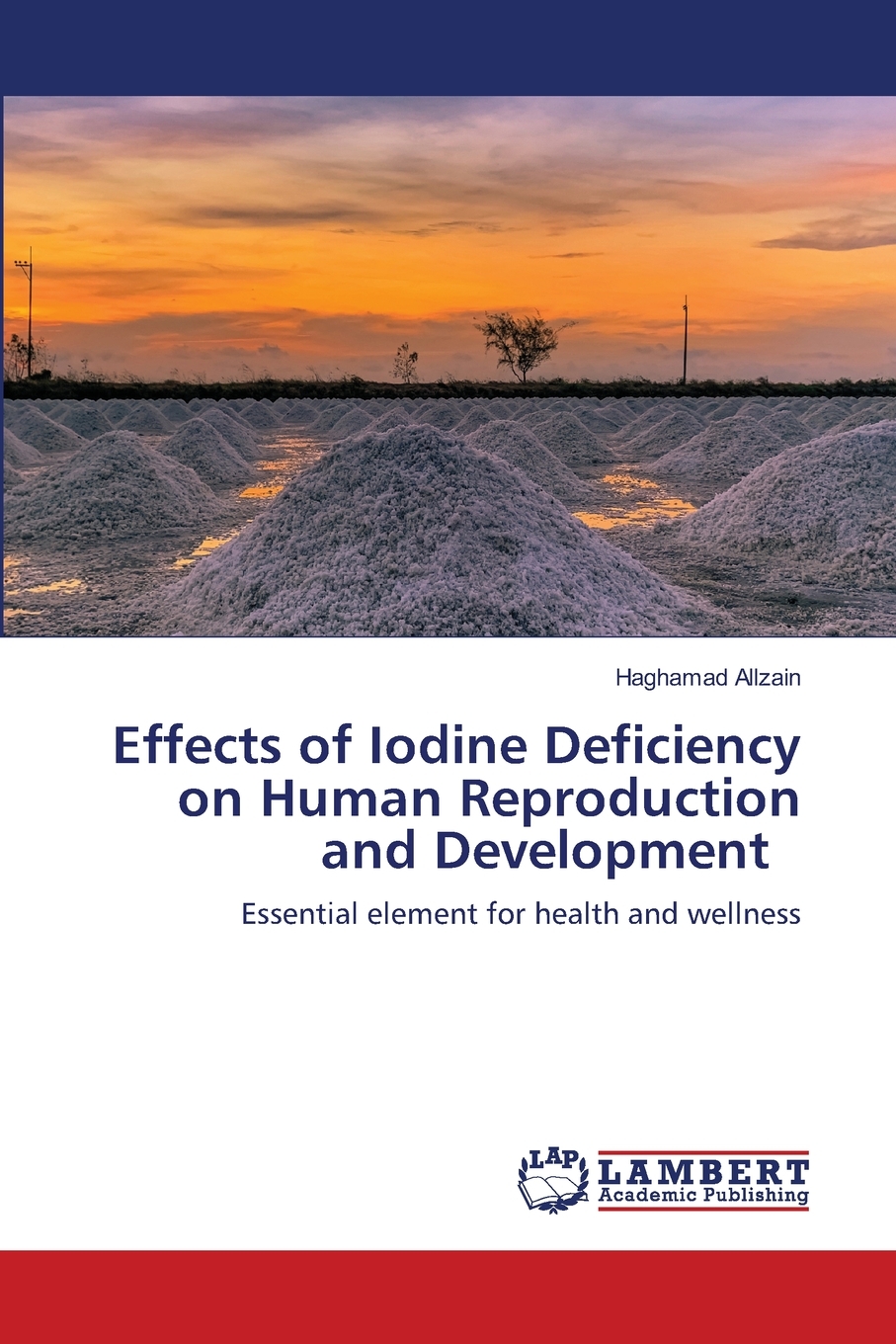 【预售按需印刷】Effects of Iodine Deficiency on Human Reproduction and Development