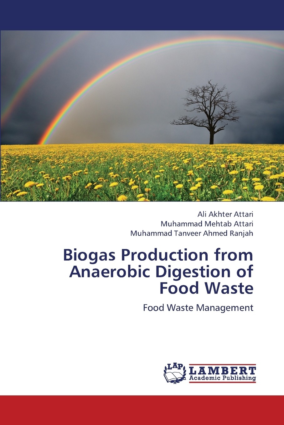 预售 按需印刷 biogas production from anaerobic digestion of food