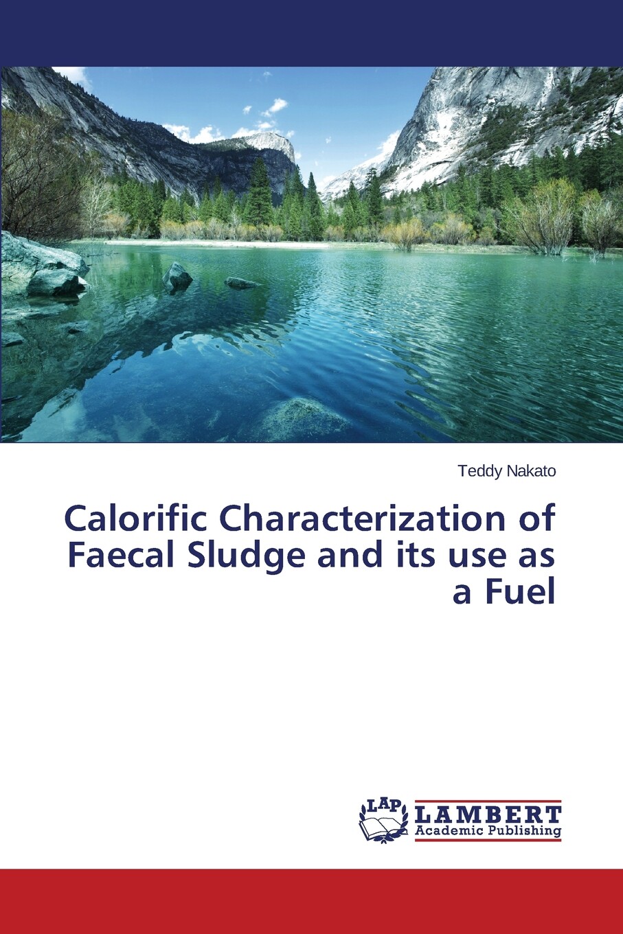 【预售按需印刷】calorific characterization of faecal sludge and
