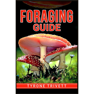 预售 按需印刷  FORAGING GUIDE