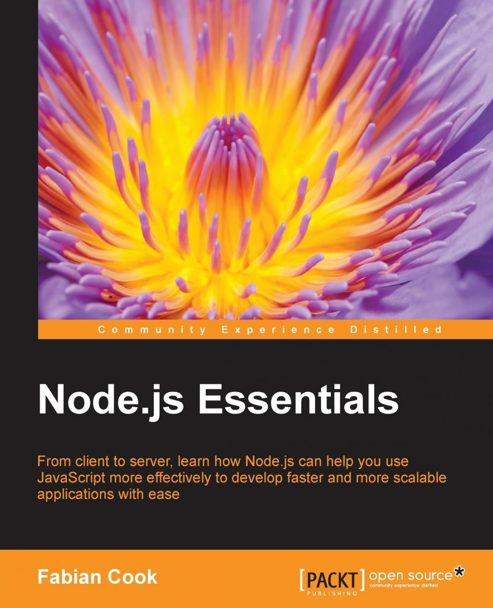 【预售 按需印刷】Node.js Essentials 书籍/杂志/报纸 科普读物/自然科学/技术类原版书 原图主图