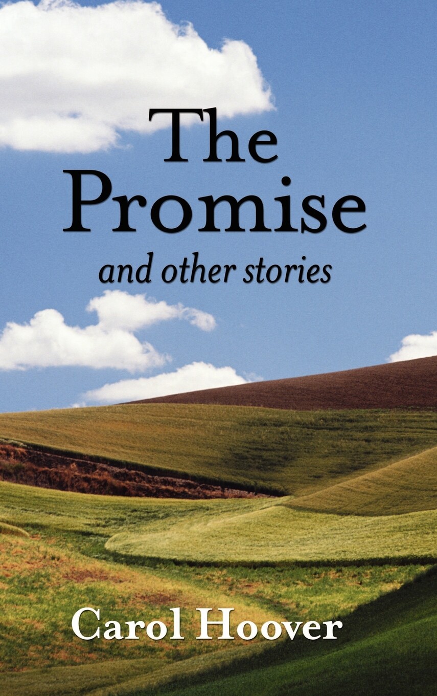 【预售 按需印刷】the promise