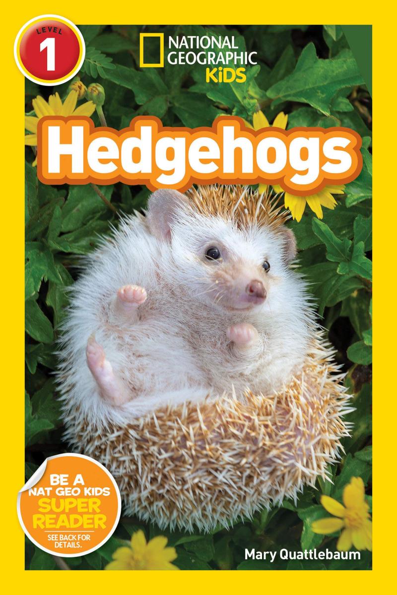 geographic readers hedgehogs 刺猬 国家地理分级读物 儿童英语