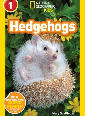 英文原版 National Geographic Readers: Hedgehogs 刺猬 国家地理分级读物  儿童英语读物动物认知启蒙 LEVEL1 中图原版进口