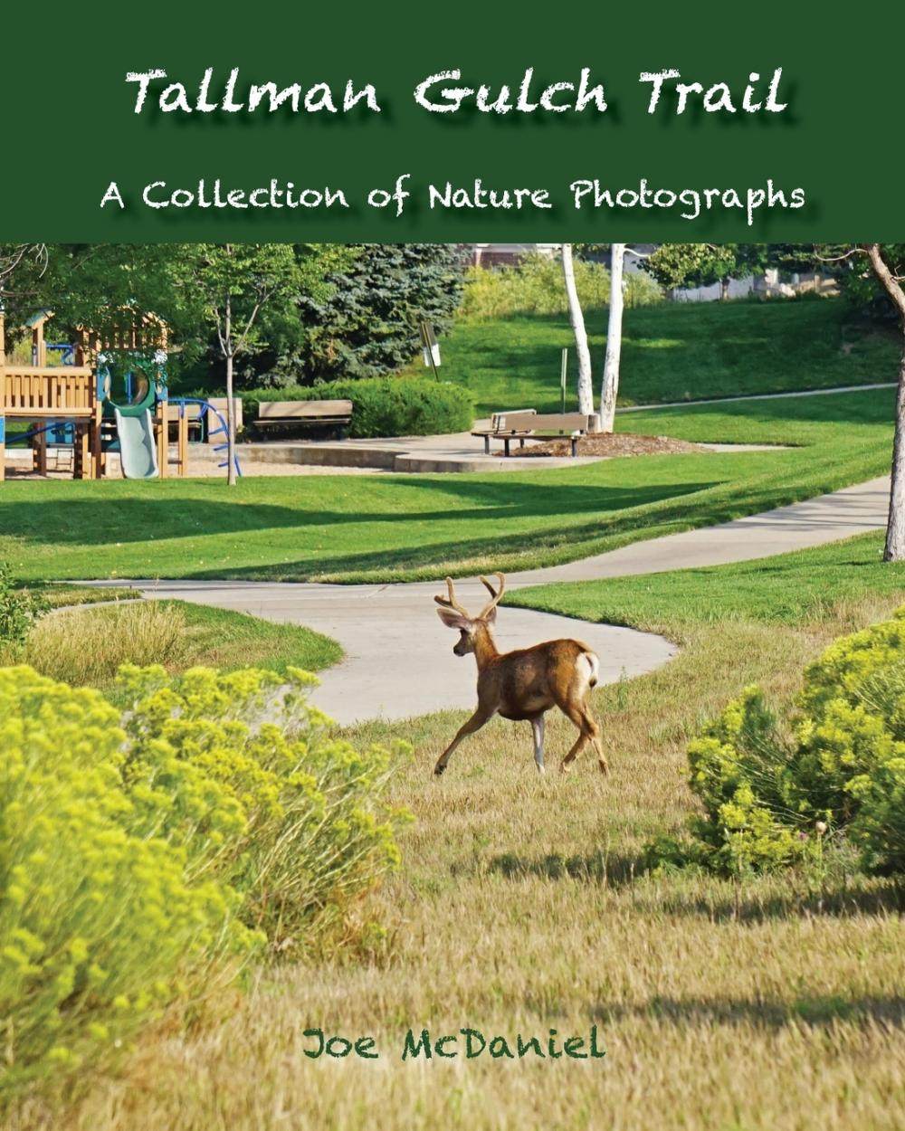 【预售 按需印刷】tallman gulch trail