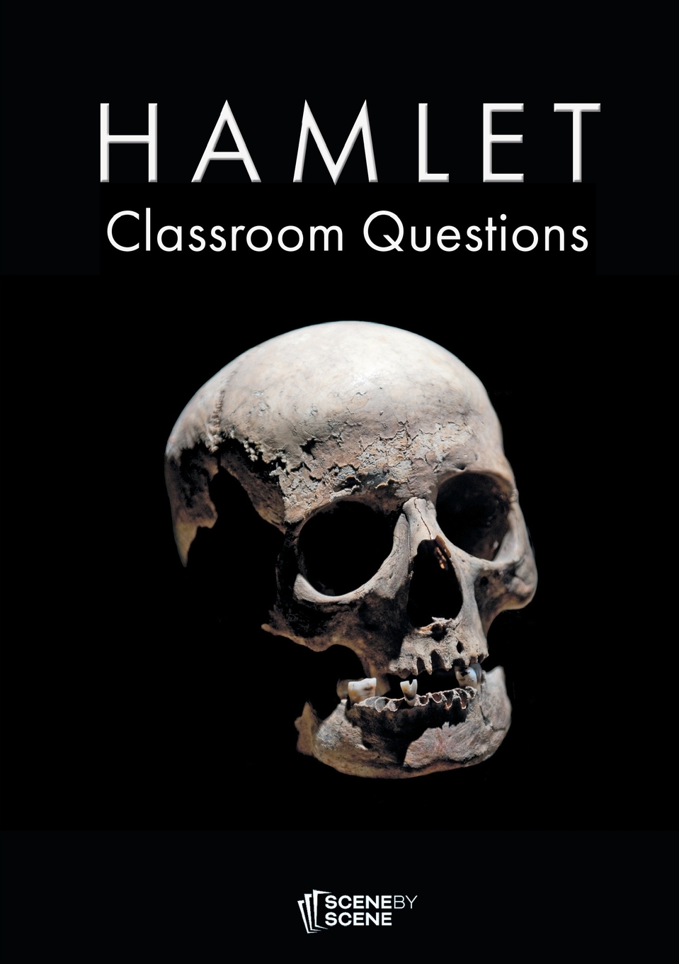 【预售按需印刷】Hamlet Classroom Questions