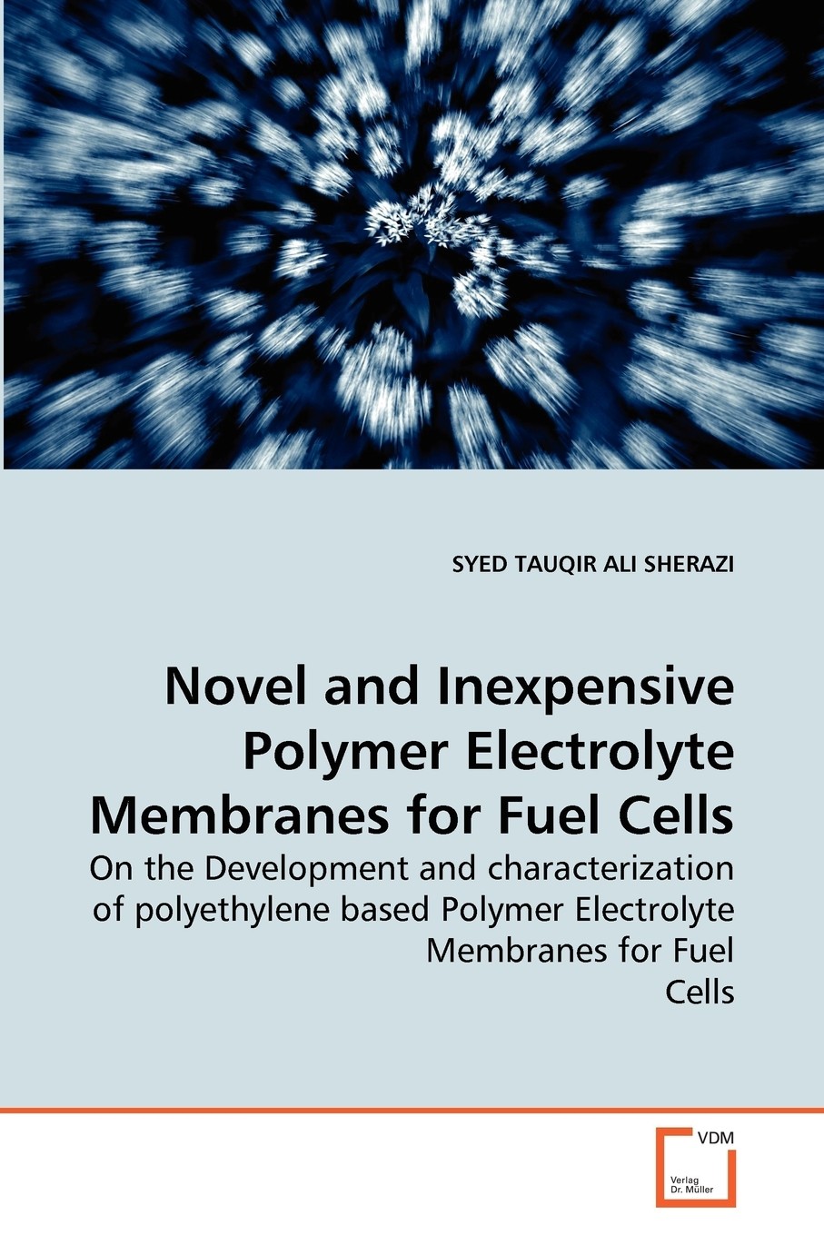 【预售 按需印刷】novel and inexpensive polymer electrolyte