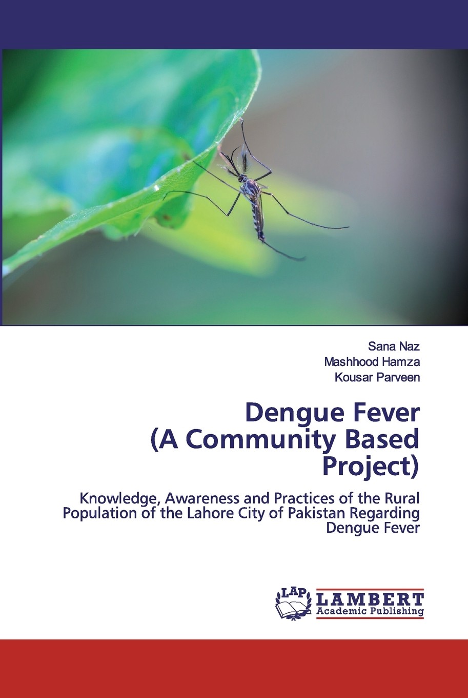 【预售 按需印刷】dengue fever (a community based project)
