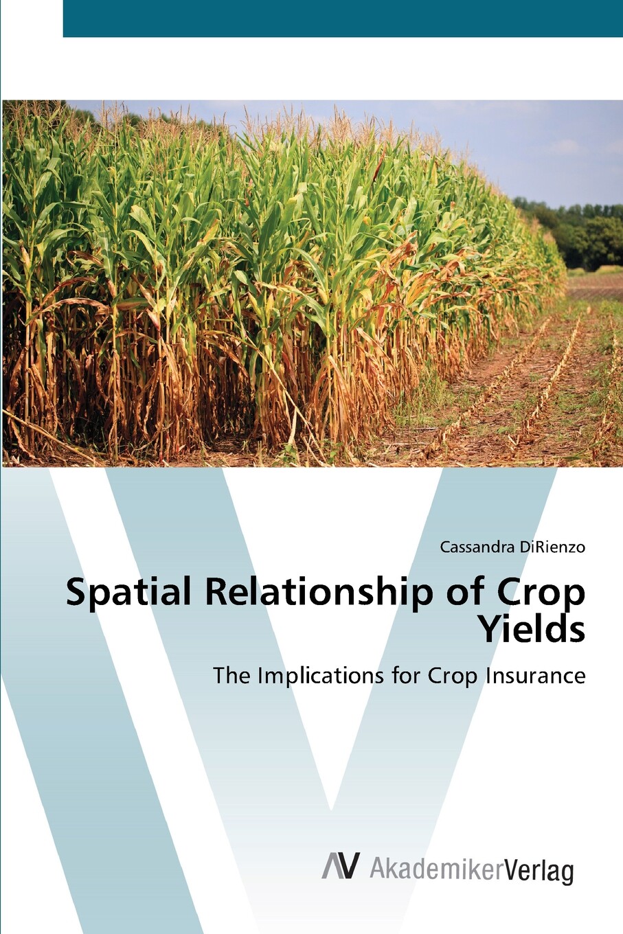 【预售 按需印刷】spatial relationship of crop yields