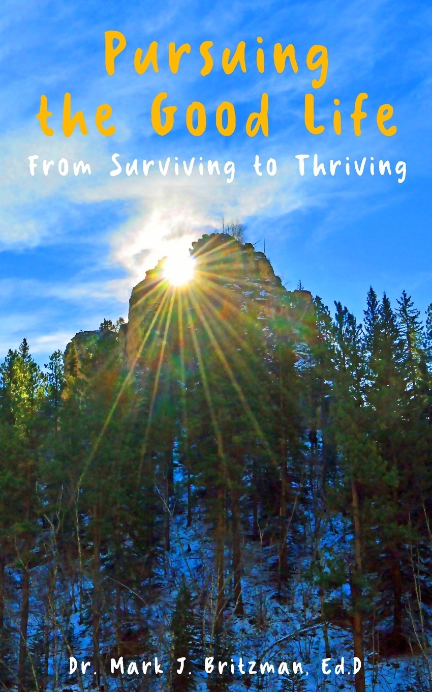 【预售 按需印刷】pursuing the good life 追求美好生活 mark j