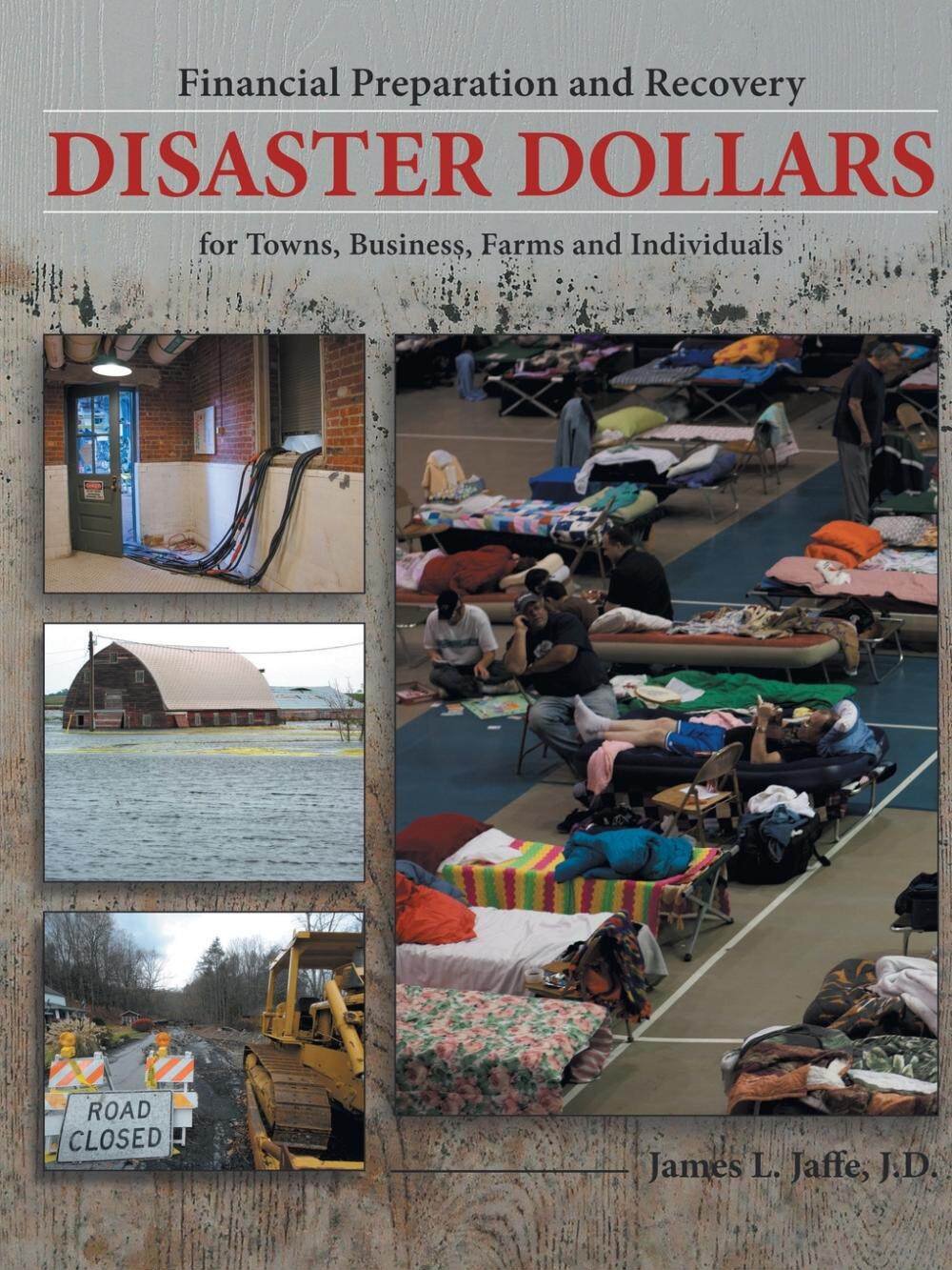【预售 按需印刷】disaster dollars