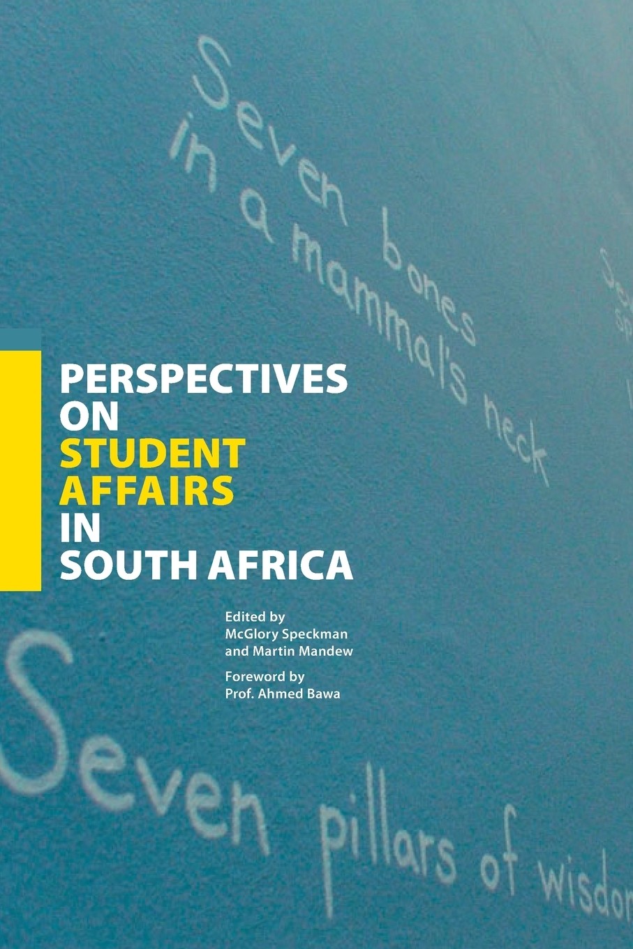 预售 按需印刷perspectives on student affairs in south africa