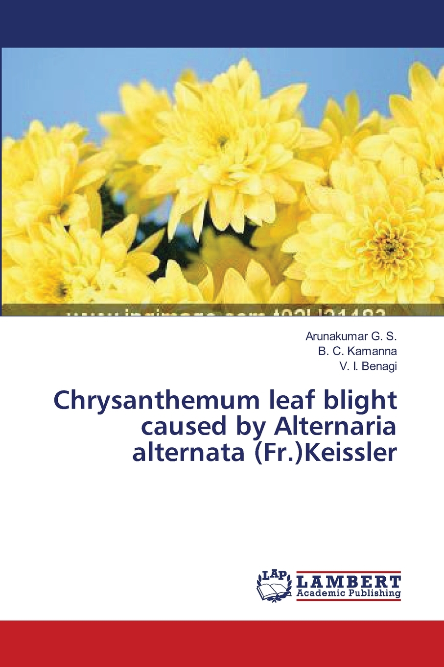 【预售按需印刷】Chrysanthemum leaf blight caused by Alternaria alternata(Fr.)Keissler