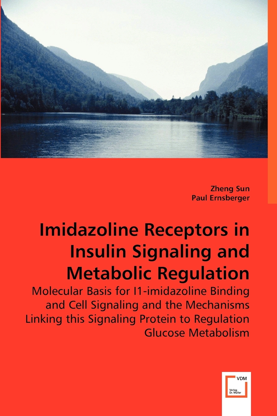 预售按需印刷 Imidazoline Receptors in Insulin Signaling and Metabolic Regulation