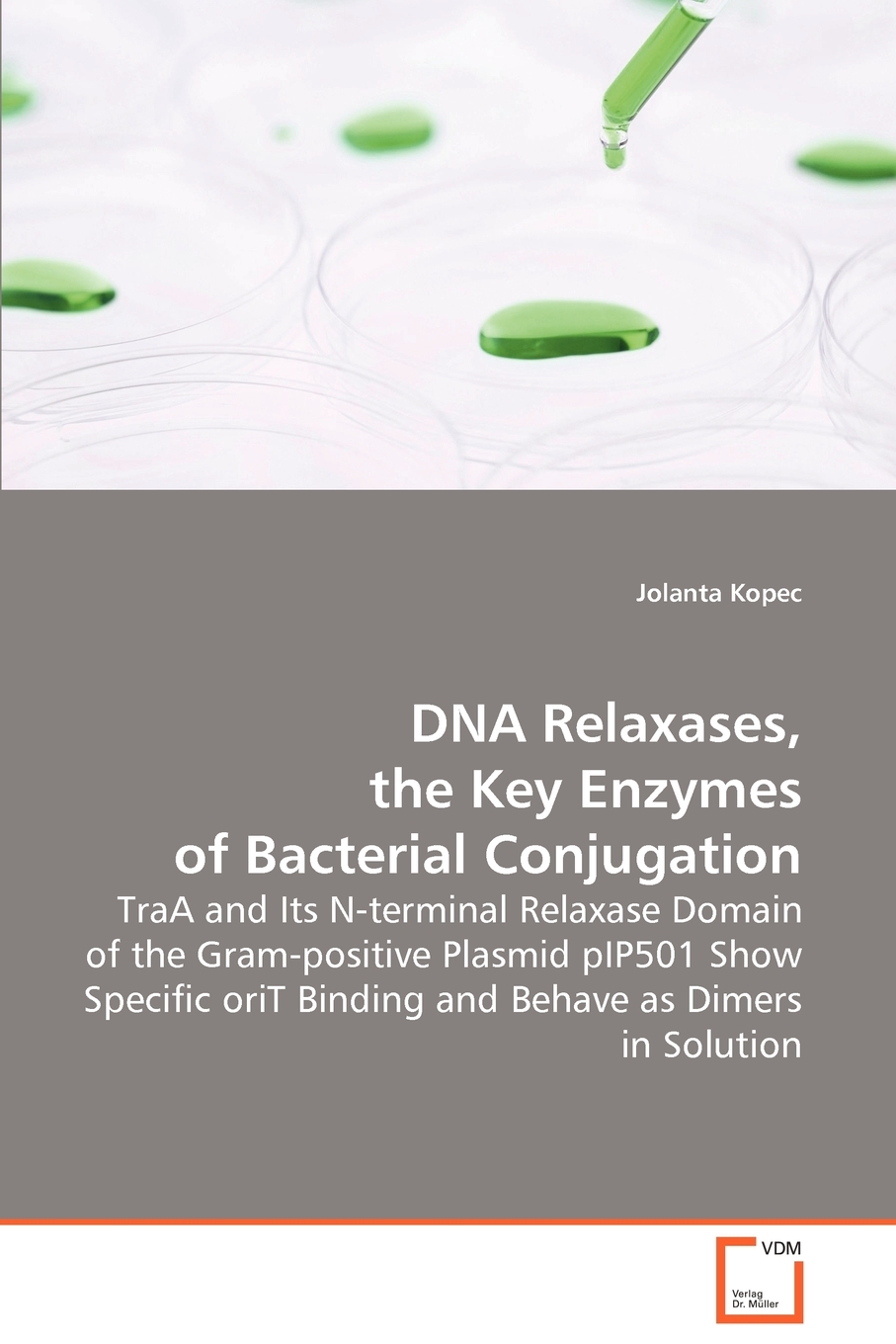 【预售按需印刷】DNA Relaxases the Key Enzymes of Bacterial Conjugation