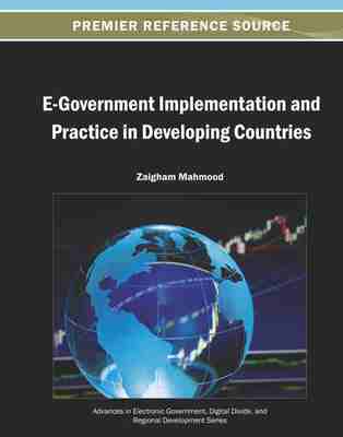 预售 按需印刷 E Government Implementation and Practice in Developing Countries