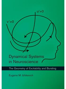 按需印刷 Dynamical Systems in Neuroscience