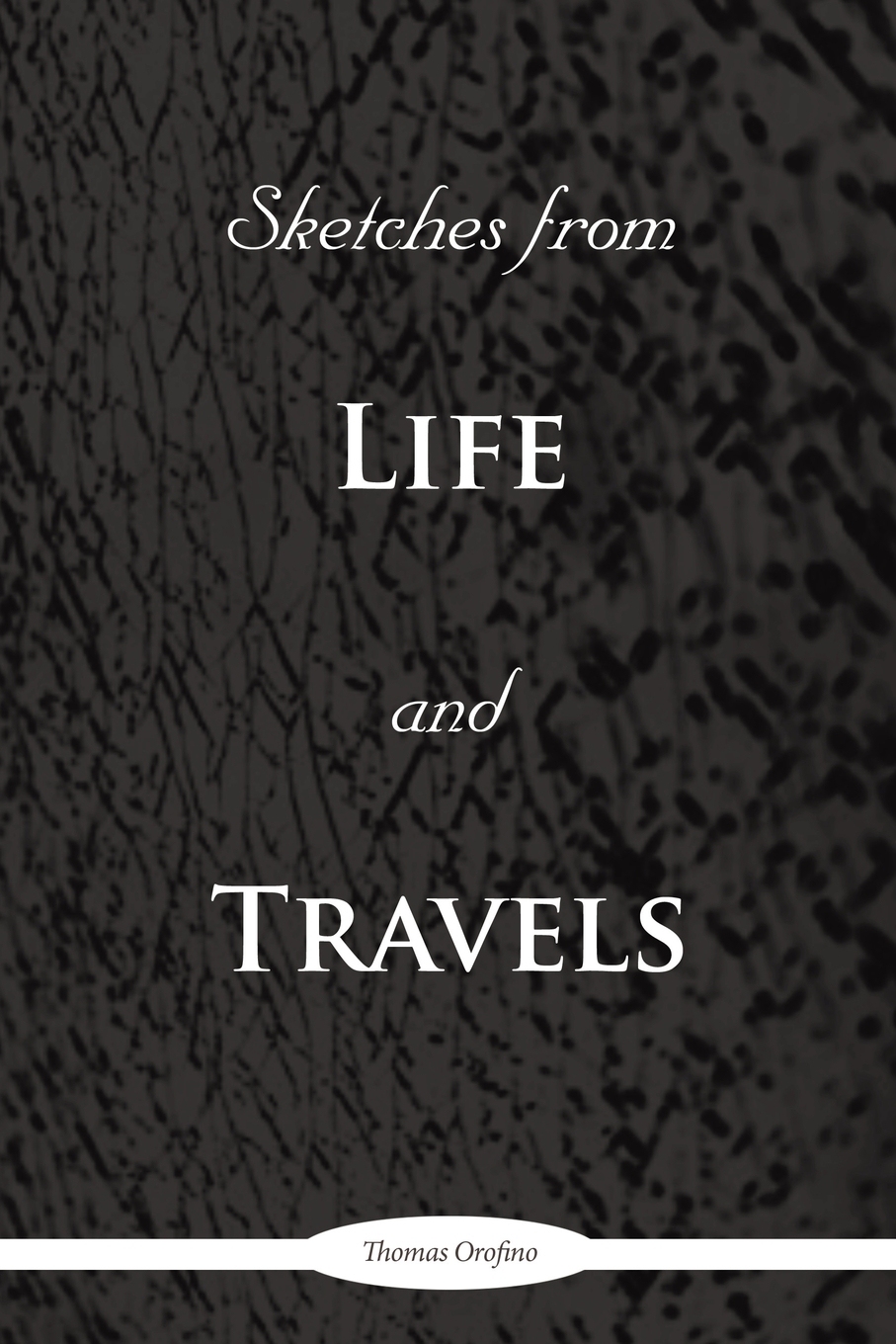 【预售 按需印刷】SKETCHES FROM LIFE AND TRAVELS