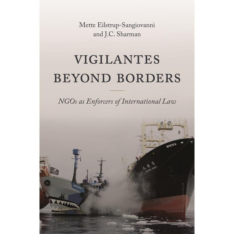 普林斯顿预售 Vigilantes beyond Borders