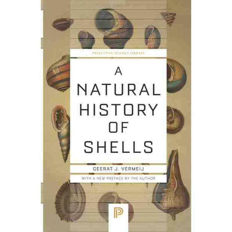 普林斯顿预售 A Natural History of Shells《贝壳的自然史》
