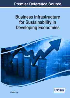 预售 按需印刷 Business Infrastructure for Sustainability in Developing Economies