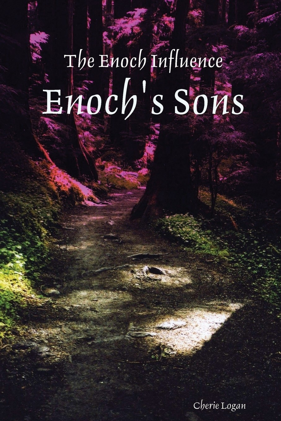 【预售 按需印刷】enoch s sons
