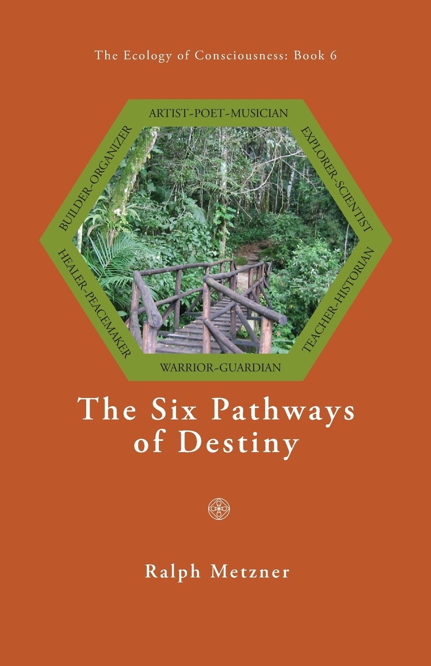【预售 按需印刷】the six pathways of destiny