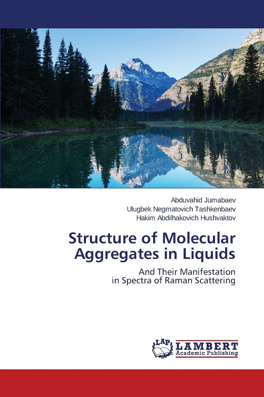 【预售 按需印刷】structure of molecular aggregates in liquids