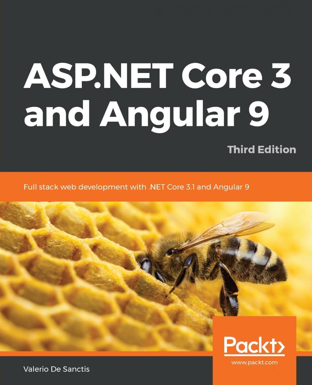 【预售 按需印刷】ASP.NET Core 3 and Angular 9 - Third Edition 书籍/杂志/报纸 原版其它 原图主图