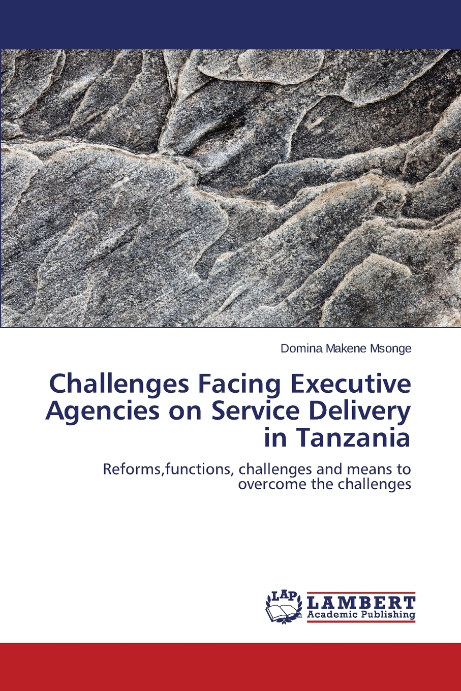 【预售 按需印刷】Challenges Facing Executive Agencies on Service Delivery in Tanzania 书籍/杂志/报纸 经济管理类原版书 原图主图