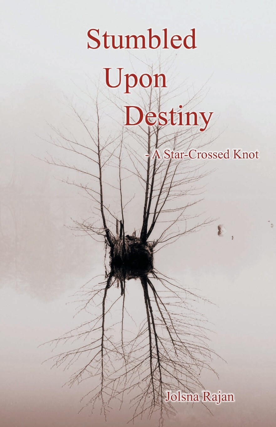 预售 按需印刷 stumbled upon destiny