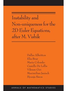 普林斯顿预售 Instability and Non-uniqueness for the 2D Euler Equations  after M. Vishik