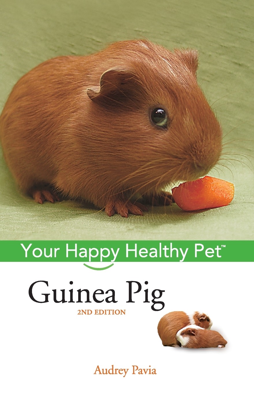 预售 按需印刷 guinea pig