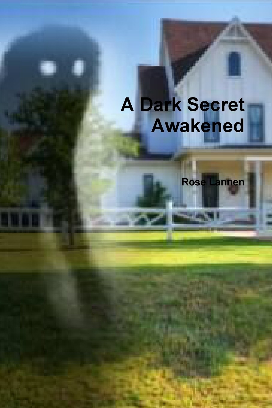 【预售 按需印刷】a dark secret awakened