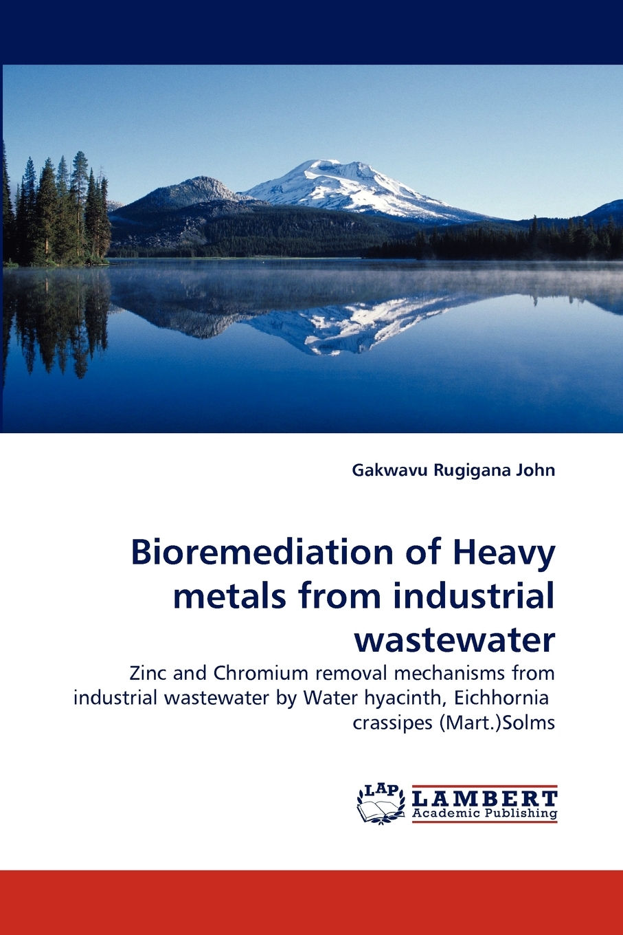预售 按需印刷 bioremediation of heavy metals from industrial