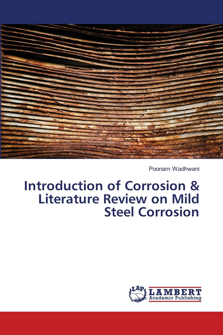 【预售 按需印刷】introduction of corrosion & literature review