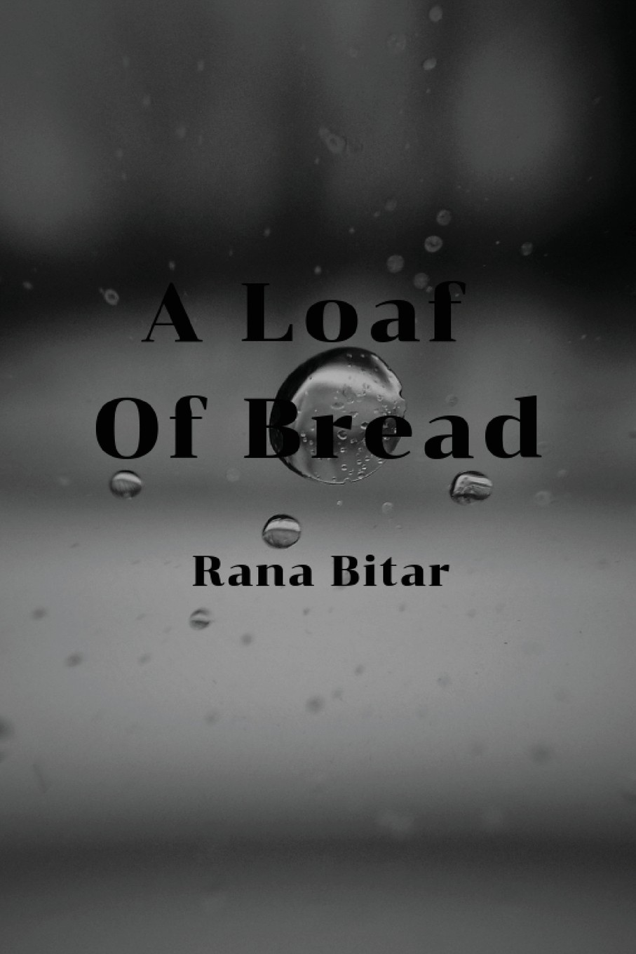 【预售 按需印刷】a loaf of bread