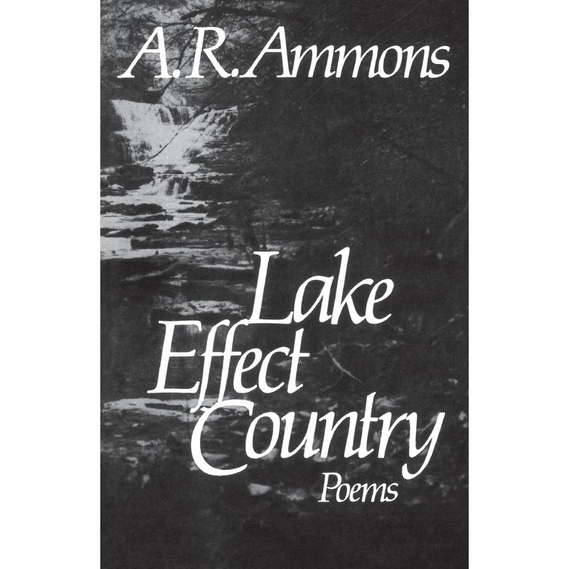 预售  Lake Effect Country