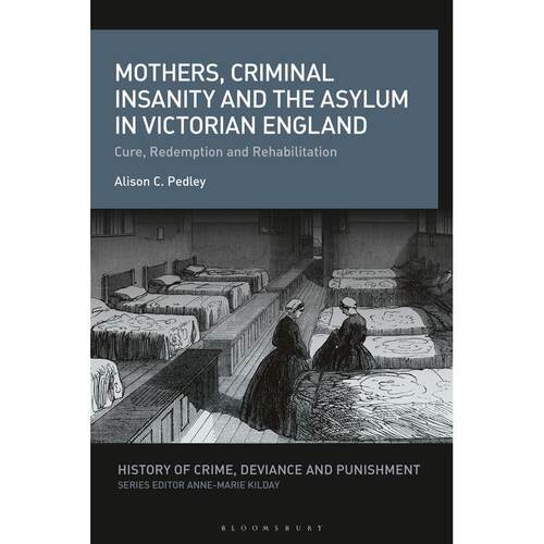 预售 Mothers  Criminal Insanity and the Asylum in Victorian England英文原版 Bloomsbury