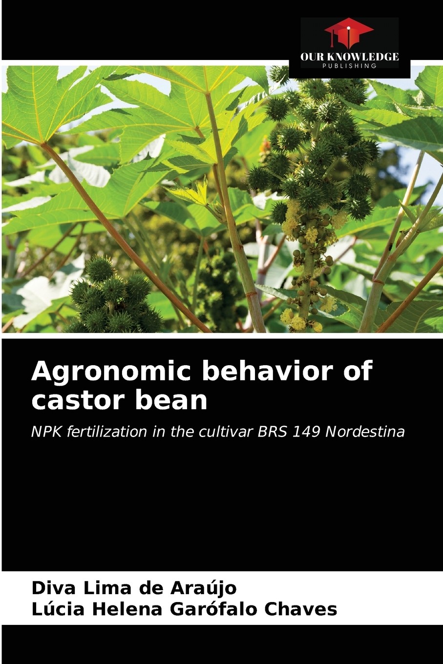预售 按需印刷 agronomic behavior of castor bean