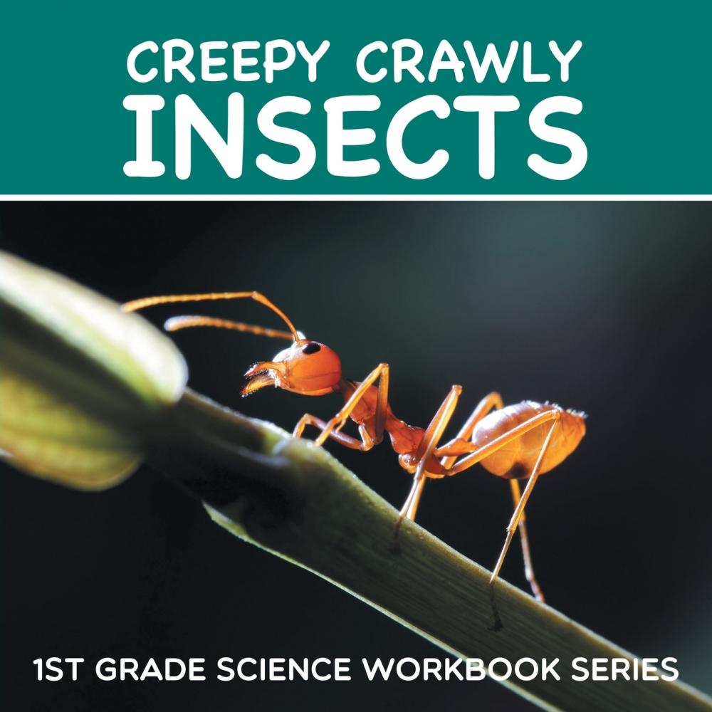 【预售按需印刷】Creepy Crawly Insects