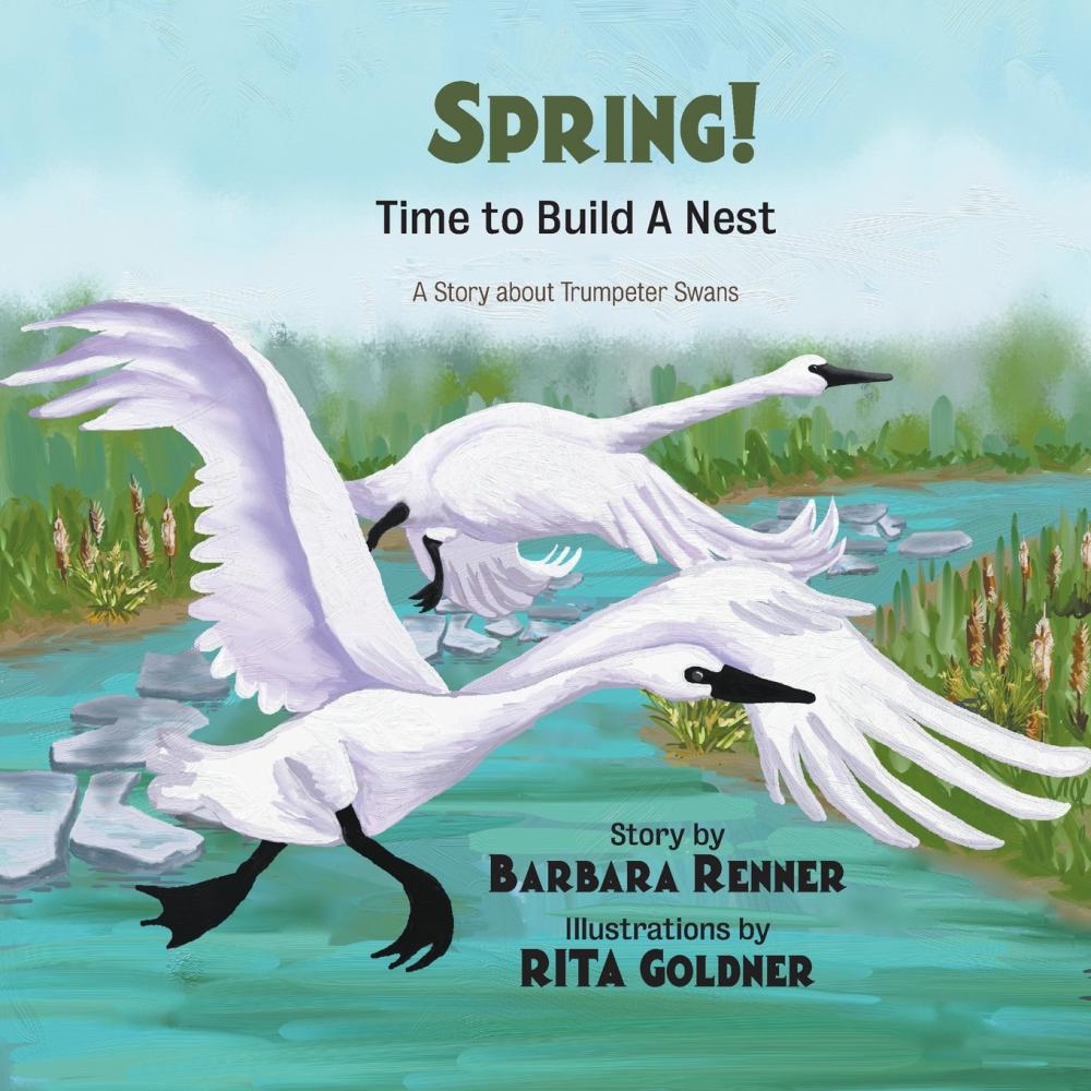 【预售按需印刷】SPRING! Time to Build a Nest A Story about Trumpeter Swans