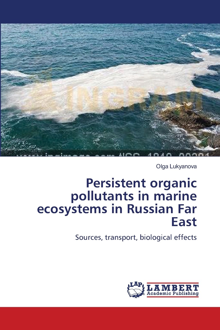 【预售 按需印刷】persistent organic pollutants in marine